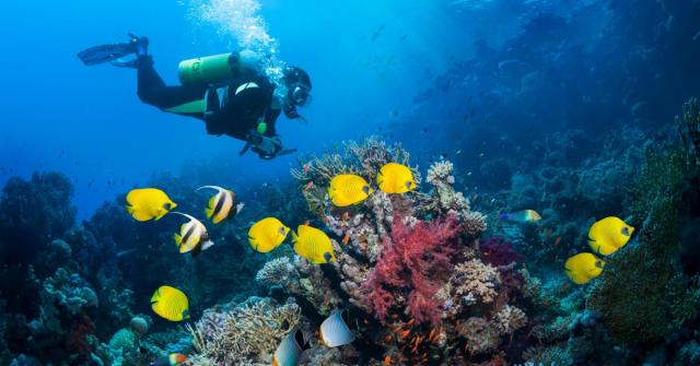 bonaire-scuba-promo…